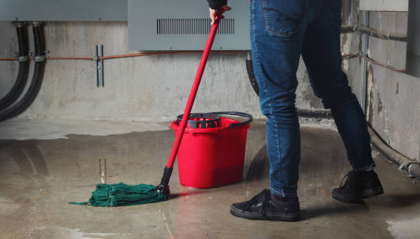 Best Residential water damage restoration  in Panthersville, GA