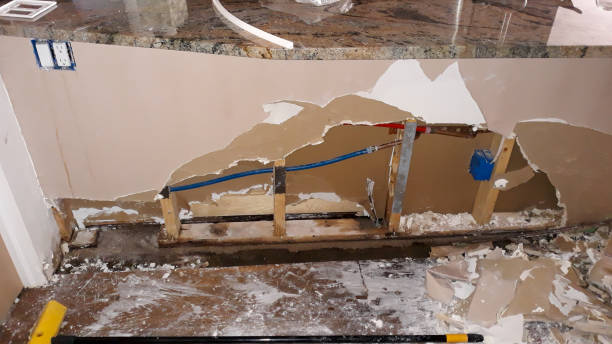 Best Sewage cleanup and water damage restoration  in Panthersville, GA
