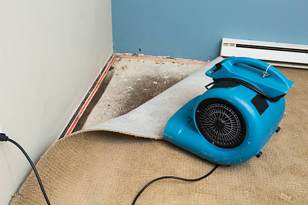 Best Water damage contractors near me  in Panthersville, GA